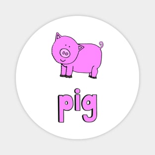 This is a PIG Magnet